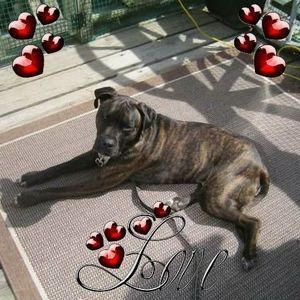 Meet your Posher, Joann